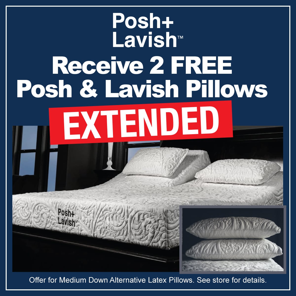 Posh+Lavish 2 Free Pillows Extended