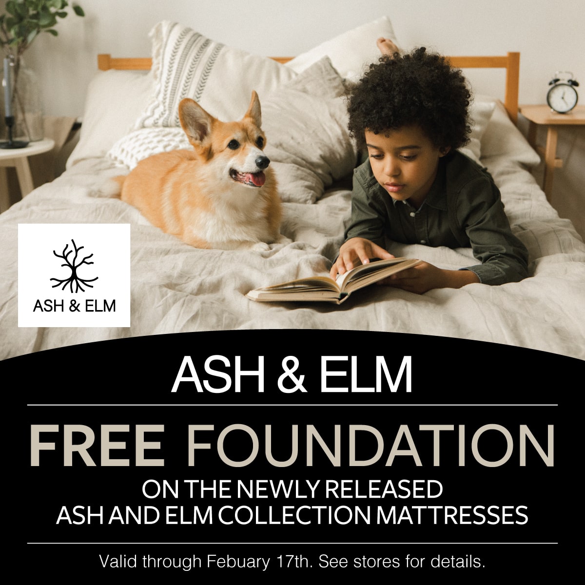 Ash & Elm Mattress Special - Free Foundation through Feb 17