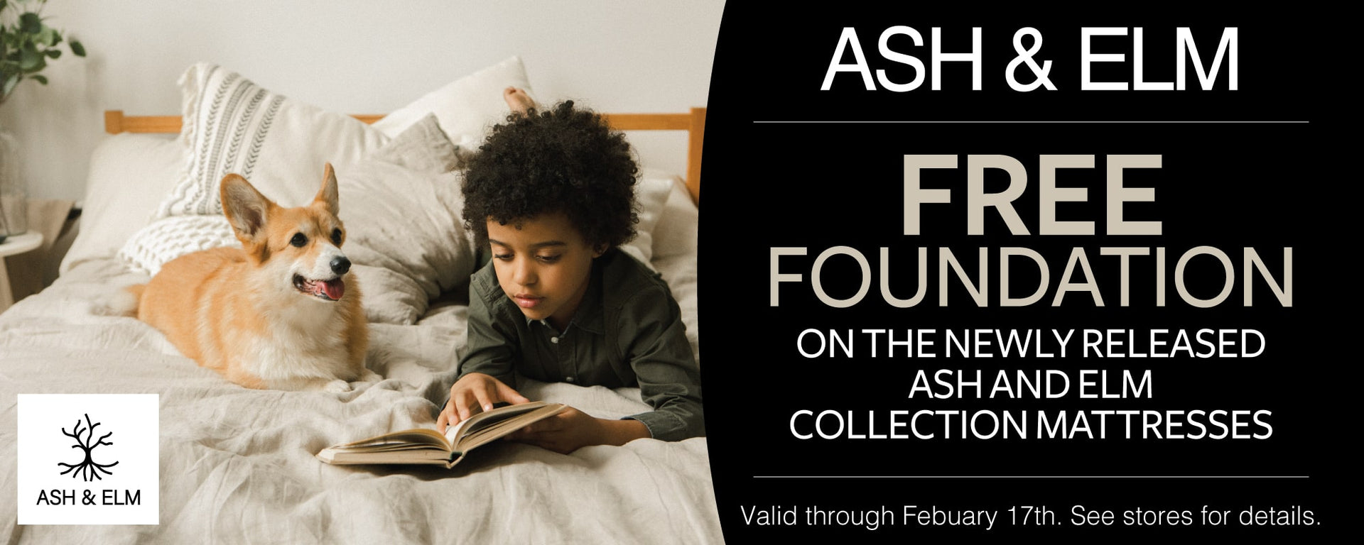Ash & Elm Mattress Special - Free Foundation through Feb 17