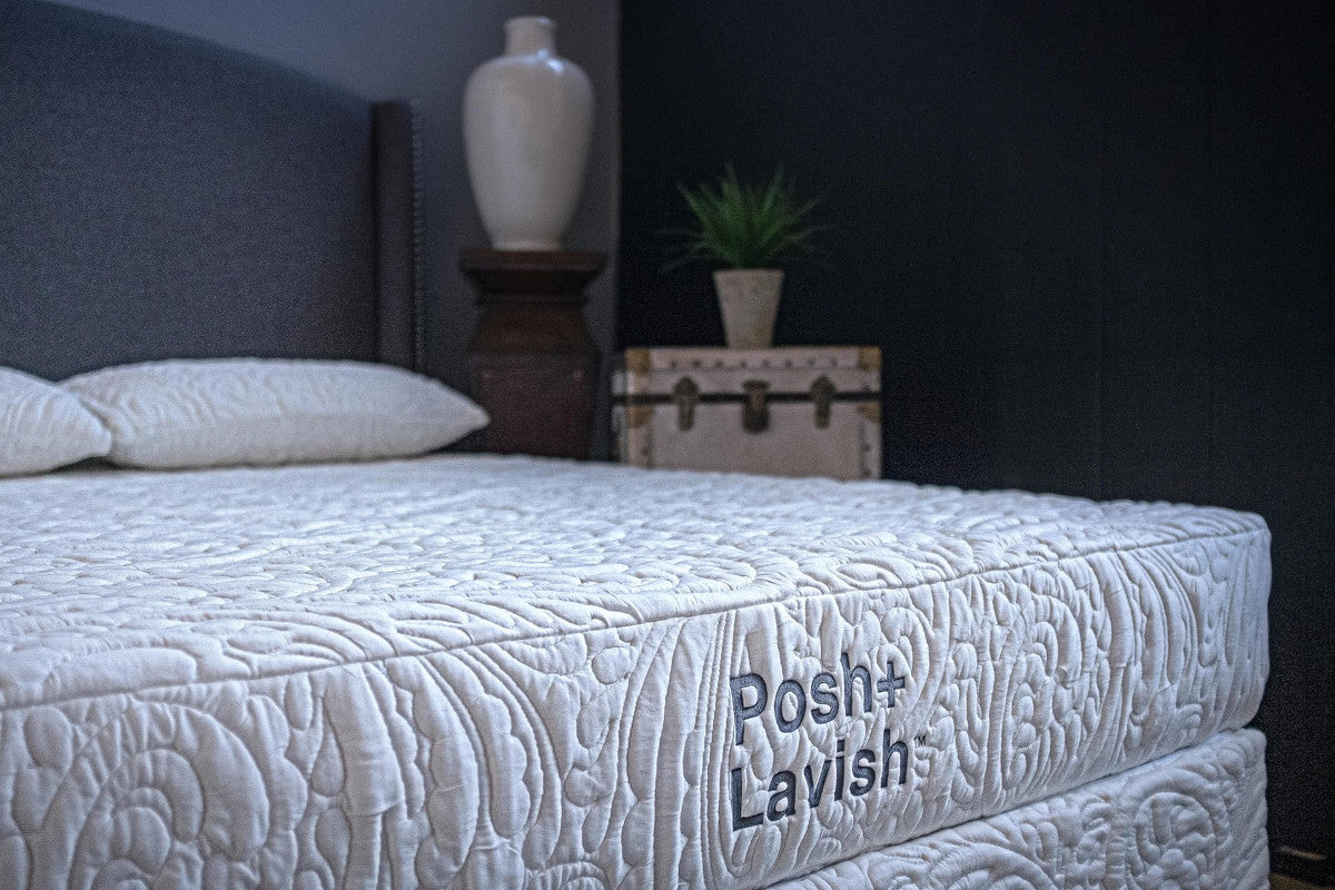 Providence Medium Firm Latex Mattress Twin XL / Mattress Only OC