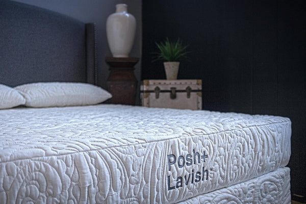 Providence Firm 10 Spring Mattress OC Mattress